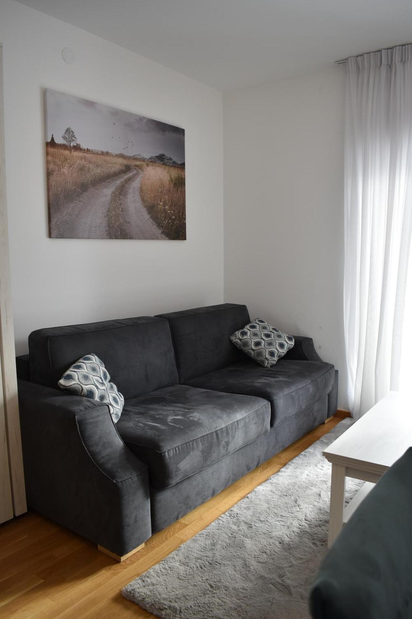 Vila Irina Kopaonik - Apartman Jovana Exterior photo