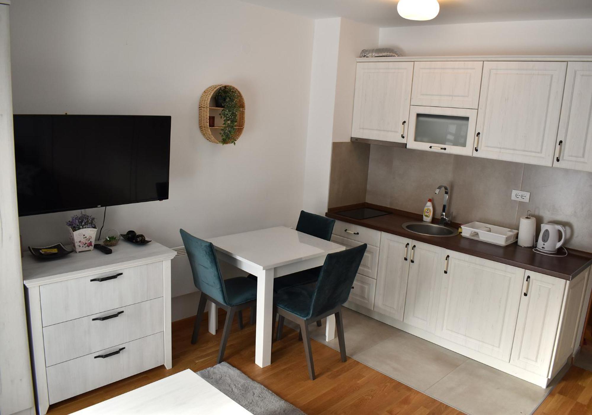 Vila Irina Kopaonik - Apartman Jovana Exterior photo